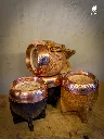 IMG_6962.JPG.webp